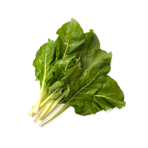 acelga
