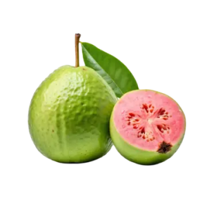 guayaba